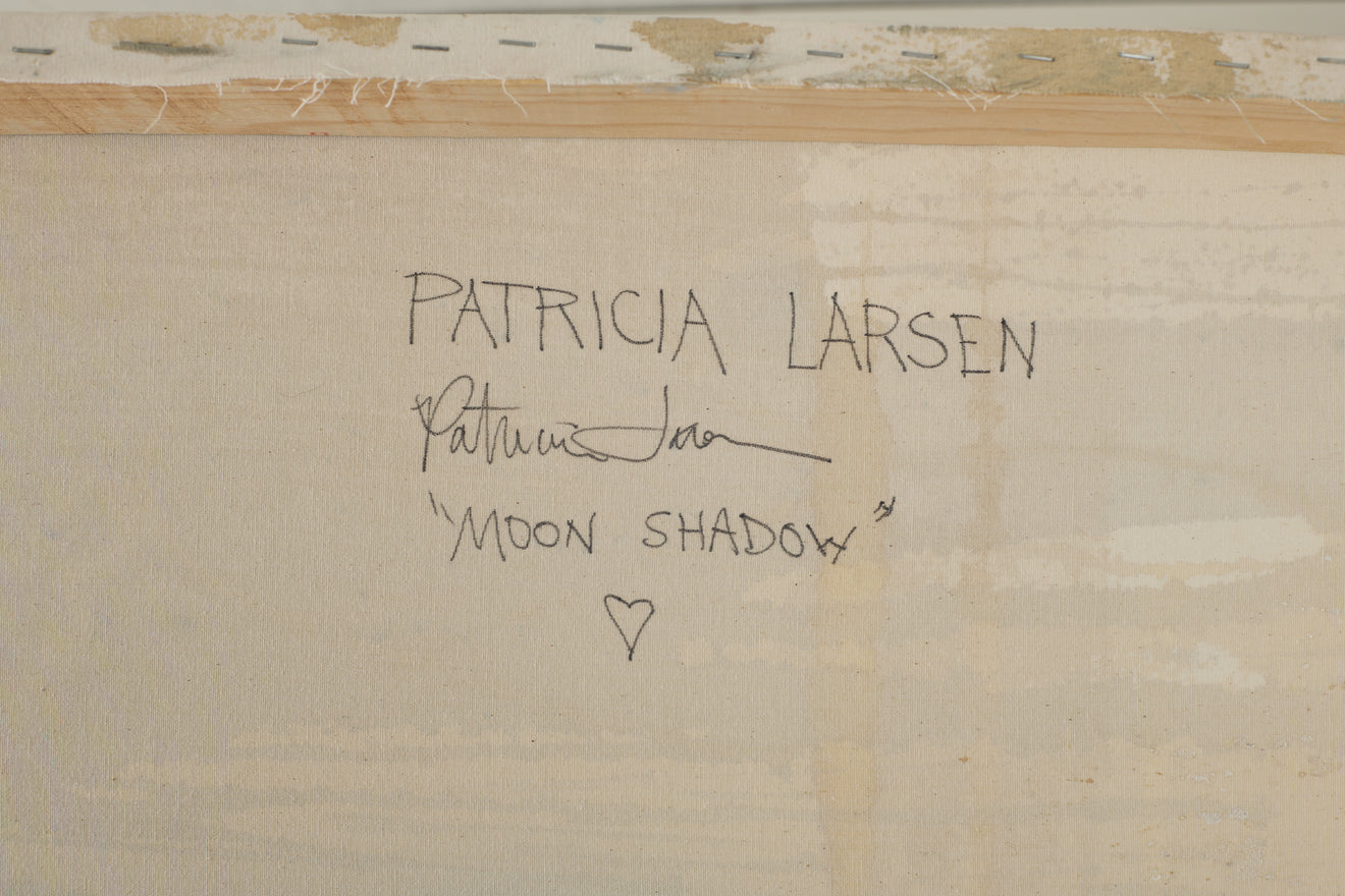 'MOON SHADOW' BY PATRICIA LARSEN